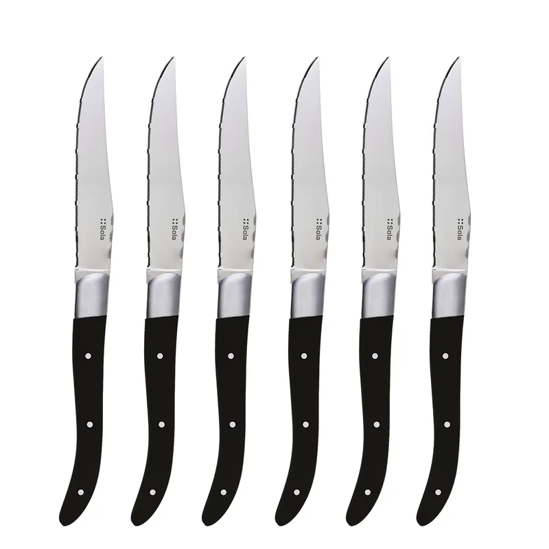 Set steakových nožů 6 ks – Basic Country II Top Prodej