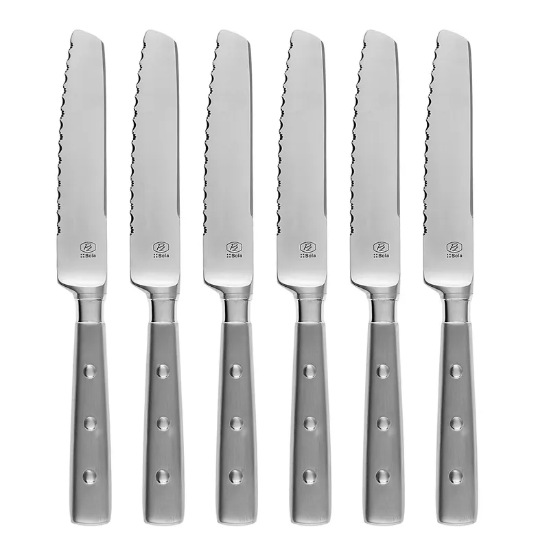 Super Cena Steakové nože v magnetickém boxu set 6 ks – Bistro