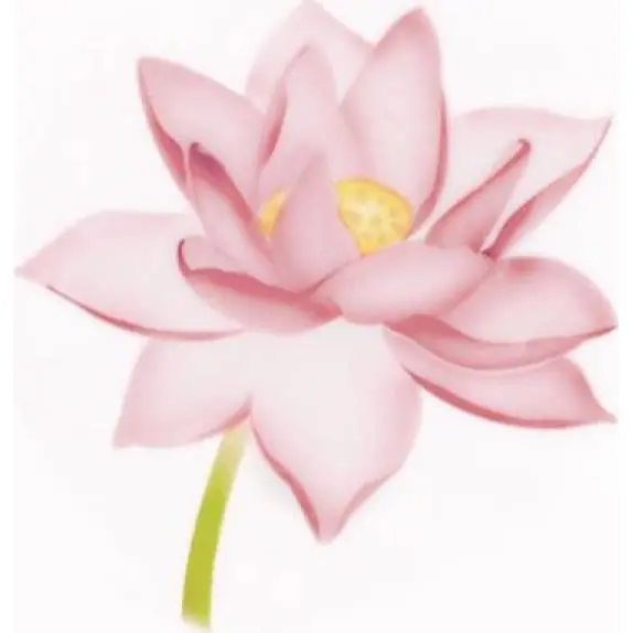 Top Prodej Stencil pro airbrush lotus