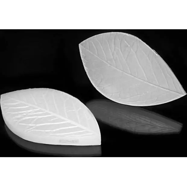 Žilkovač list Foglia 140x80mm Ověřený