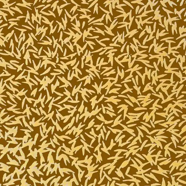 Dokud Zásoby Vydrží Transfér fólie GRAINS 30 x 40cm
