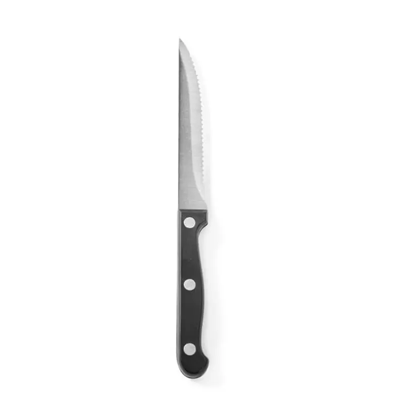 Akční Cena Nůž na steaky sada 6 ks nerezová ocel 21,50 cm