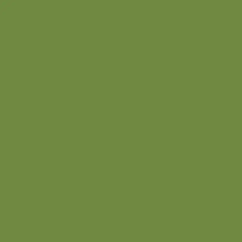 Nejlepší Volba Ubrousek 40x40 cm DNL LEAF GREEN - 45ks/bal