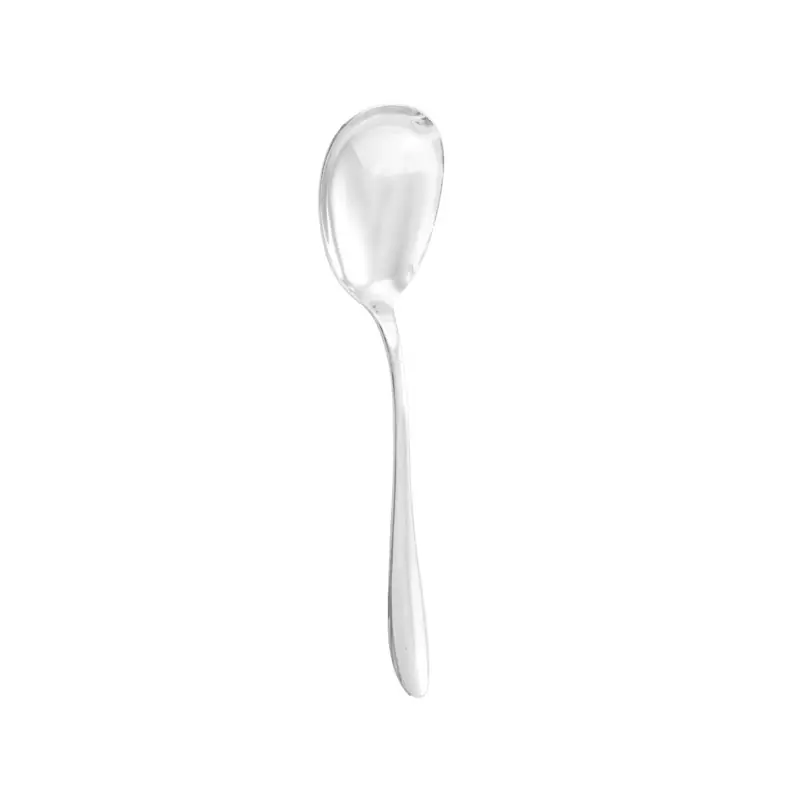 Vysoce Kvalitní Servírovací lžíce Fast 5,2 x 23,5 x 23 cm, 0,08 kg