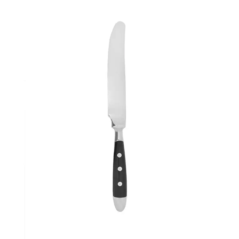 Jídelní nůž BISTRO 2 x 21,5 cm, 70 g Top Prodej