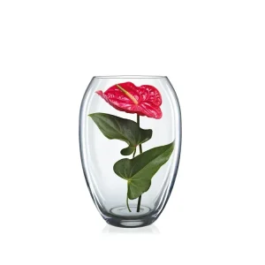 Crystalex Skleněná váza Bohemia Crystal 225 mm Akční Nabídka