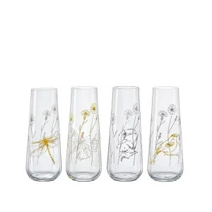 Poslední Šance Crystalex sklenice na prosecco Meadow 250 ml 4 ks